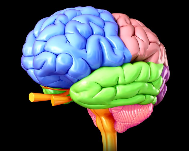 frontal lobe, motorremsan styr, Andra orsaker, demens orsakad, främre temporala