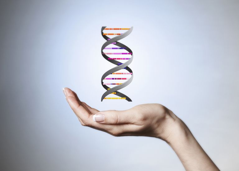 genetisk testning, celiac sjukdom, generna celiaki, celiaki eller, celiaki genom