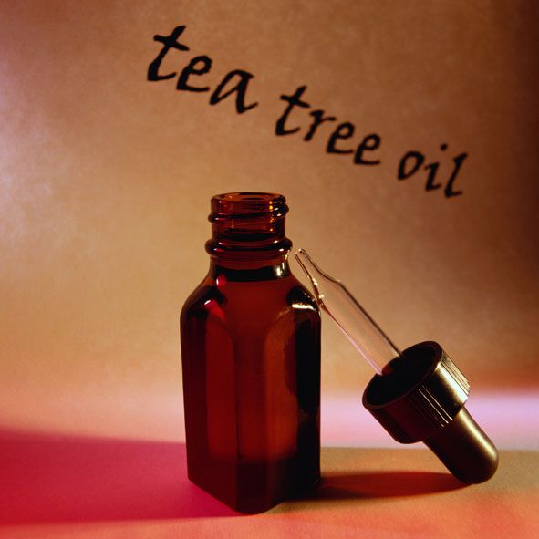 tree olja, akne utbrott, antimikrobiella egenskaper, behandlingar tree, behandlingar tree olja