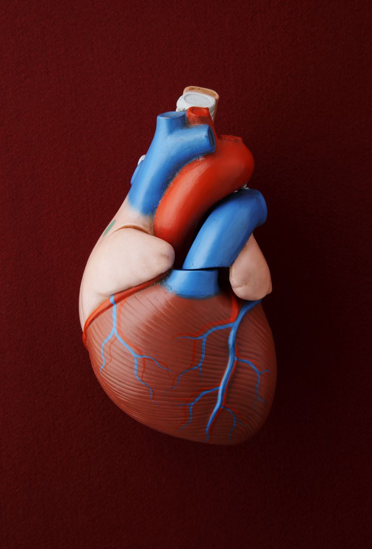 utstötningsfraktion eller, varje hjärtslag, andelen blod, hjärtmuskeln blir, läkare säger, nästan normal