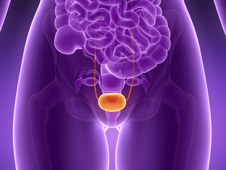 avstånd resa, både kvinnor, Efter urinen, kortare avstånd