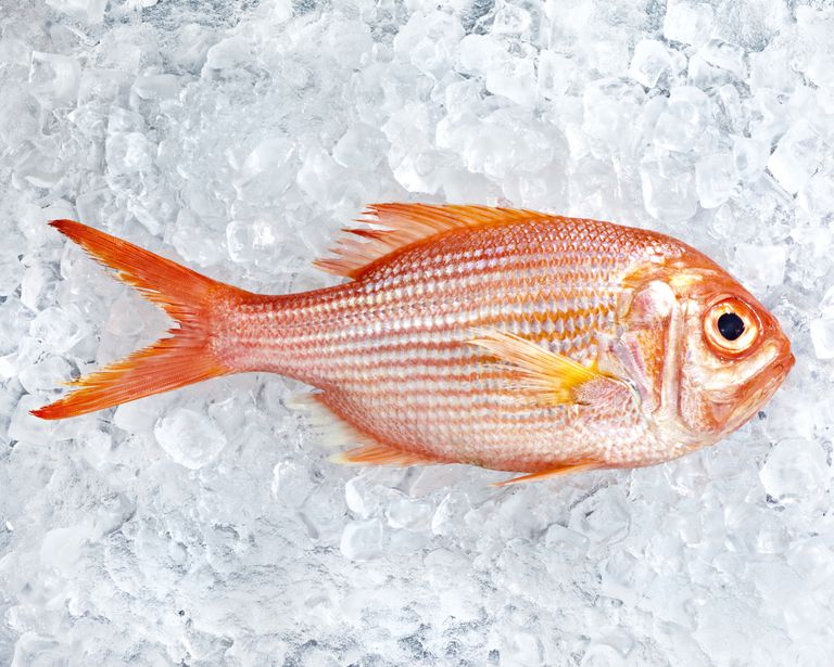 fisk eller, undvika fisk, allergisk reaktion, allvarlig astma, anses vara, efter ätit
