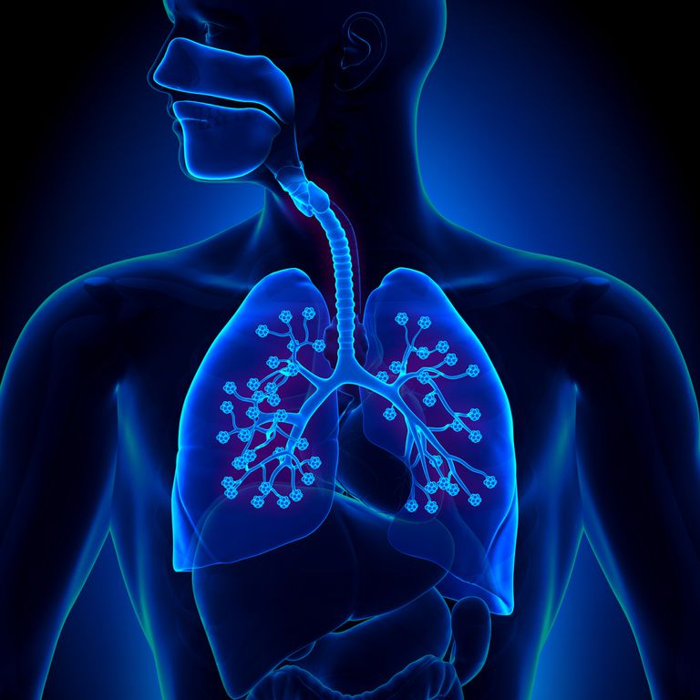 ytaktivt medel, alveolerna eller, alveolerna leda, båda lungorna, eller båda, eller båda lungorna