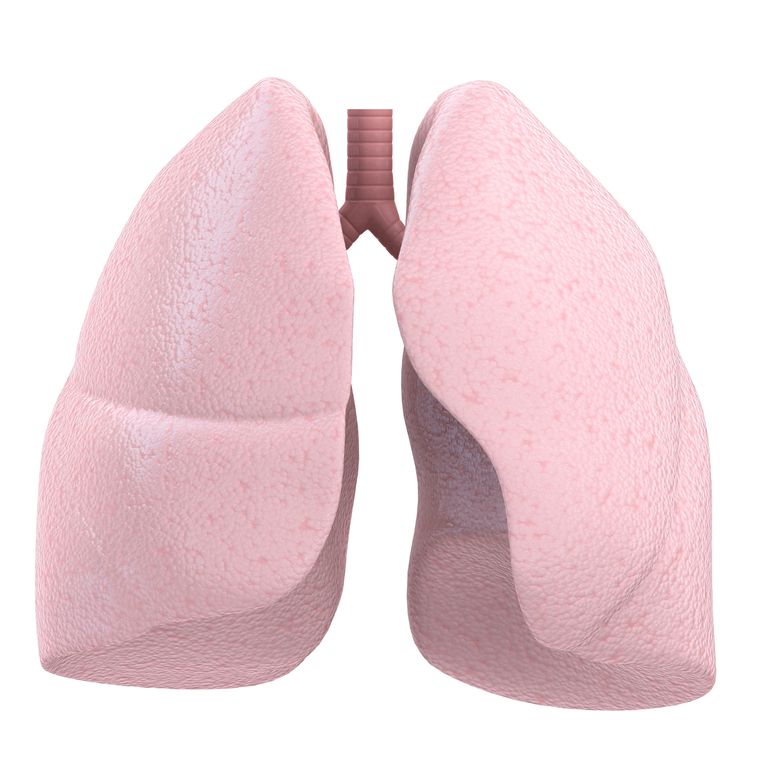 denna region, hilar adenopati, kommer lungorna, vanligaste orsaken