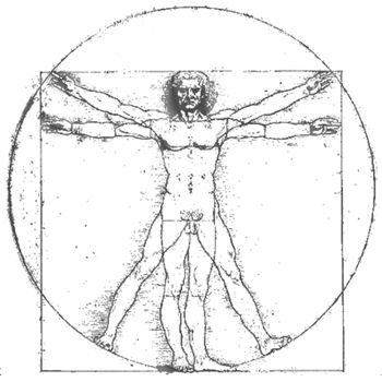 anatomisk position, Anterior hänvisar, används beskriva, används beskriva anatomi, beskriva anatomi
