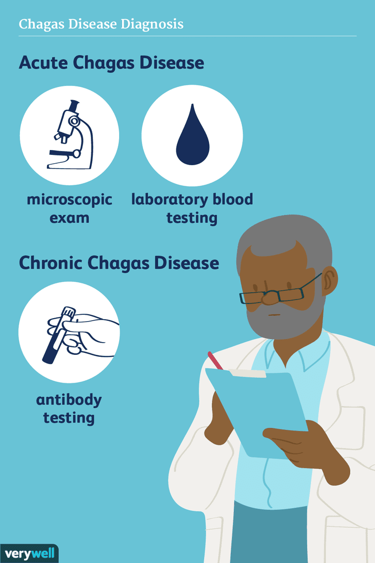 Chagas sjukdom, akut Chagas, akut Chagas sjukdom, kronisk Chagas, kronisk Chagas sjukdom