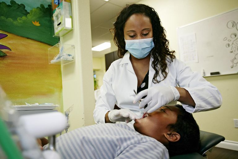 tandhygienister arbetar, enligt presidiet, Enligt presidiet arbetsstatistik, kredit timmar