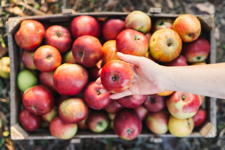 oralt allergisyndrom, frukt eller, alla njuta, äpplen njuta, äpplen servera