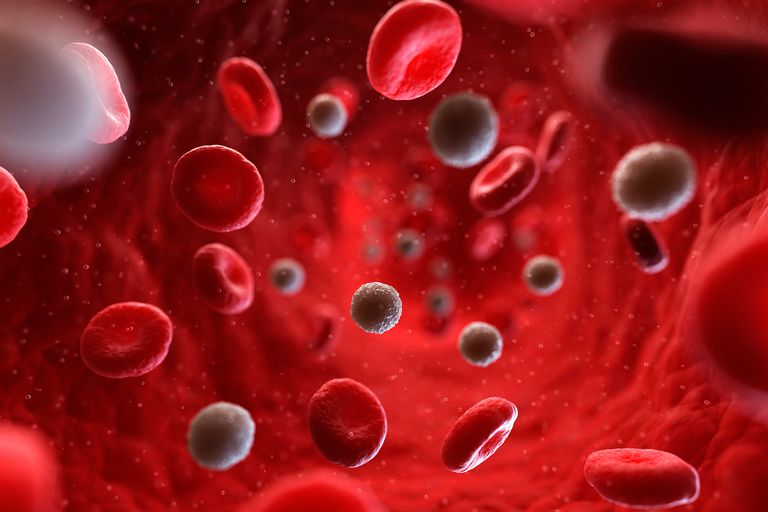 röda blodkroppar, röda blodkropparna, normalt intervall, antal röda, antal röda blodkroppar, medicinska tillstånd