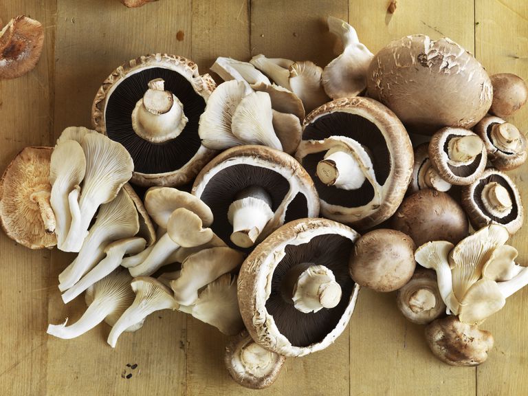vilda svampar, vitaminer mineraler, hela året, svampar säkra