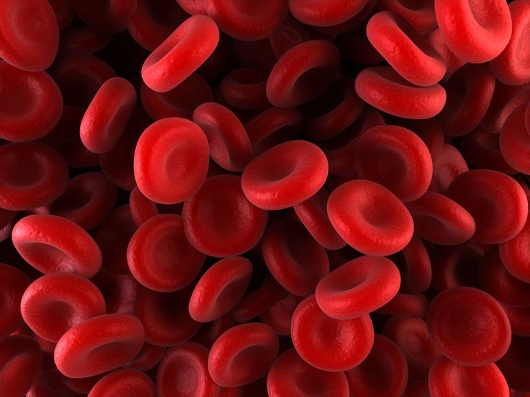 lågt antal, röda blodkroppar, antal röda, antal röda blodkroppar