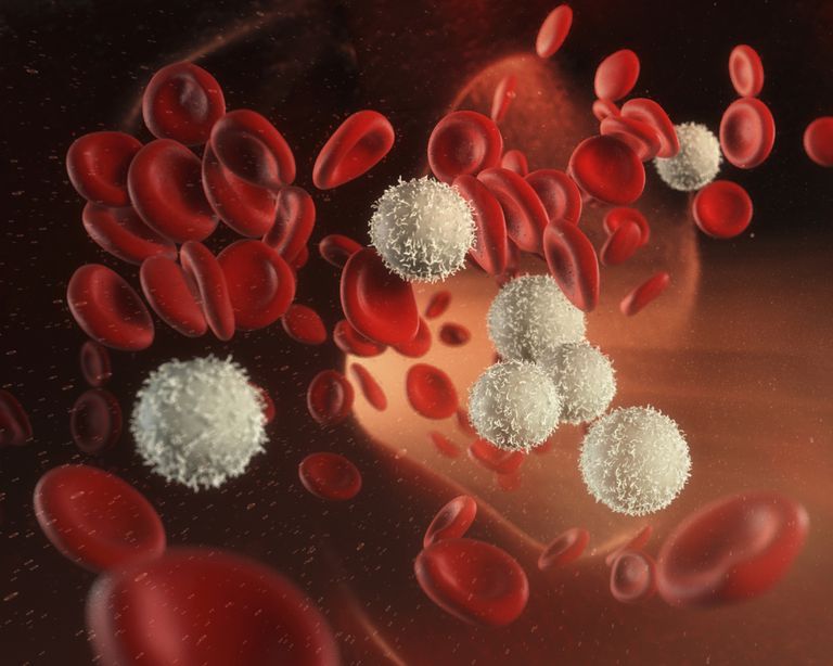 vita blodkroppar, deras lägsta, efter kemoterapibehandling, röda blodkroppar