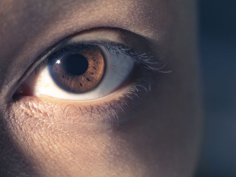 delen ögat, Detta kallas, ögat Iris, systemet kontrollerar