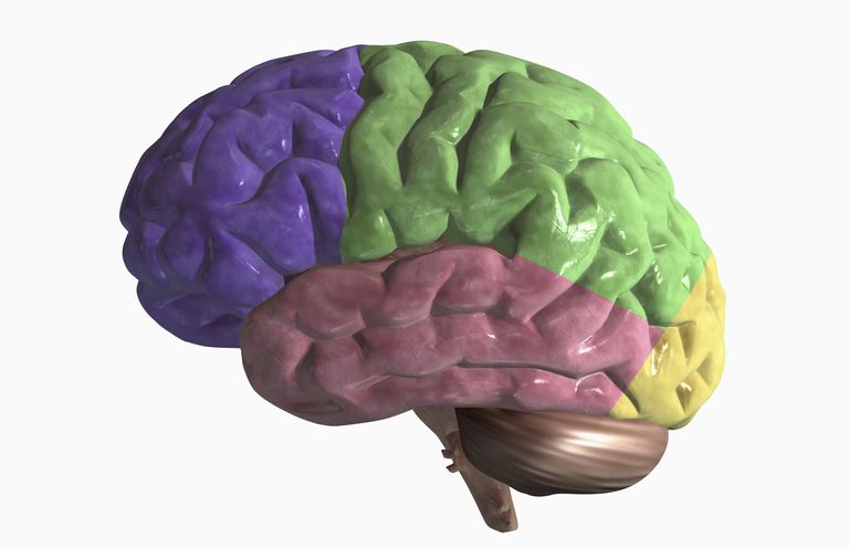 frontotemporal demens, hjärnans främre, Alzheimers sjukdom, Behavioral variant, beteenden Vissa