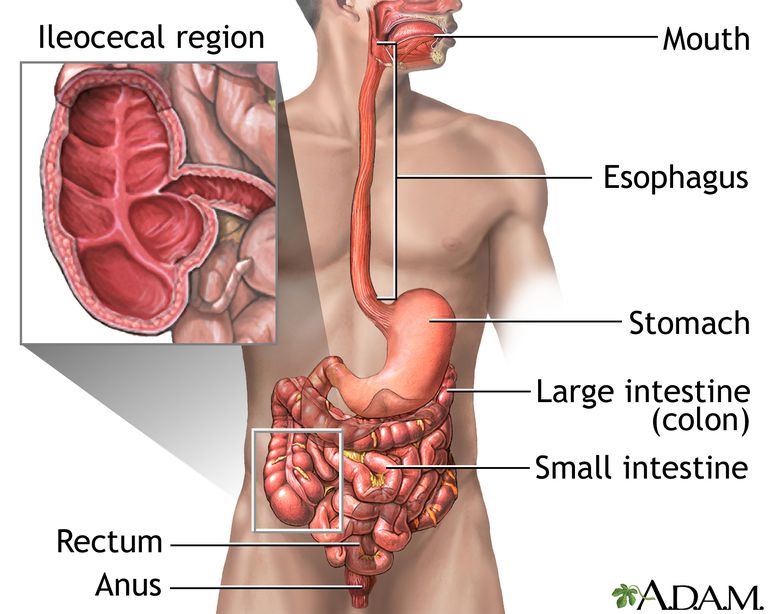 ulcerös kolit, slem avföringen, Crohns sjukdom, vara tecken, åtföljs buksmärta, blod avföringen