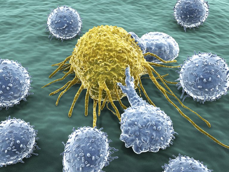 Naturliga mördar, bakterier virus, bekämpa cancer, Helper T-celler