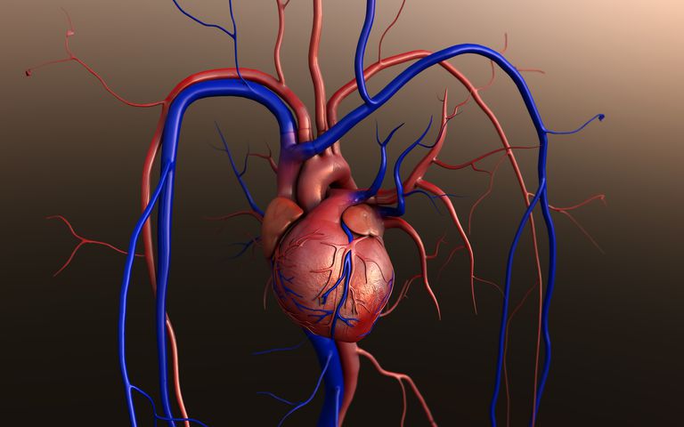 nytt hjärta, behöver hjärttransplantation, efter sätt, flesta centra, förhindra avstötning