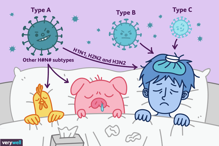stammar influensa, orsakar sjukdom, influensa A-virus, mycket smittsam