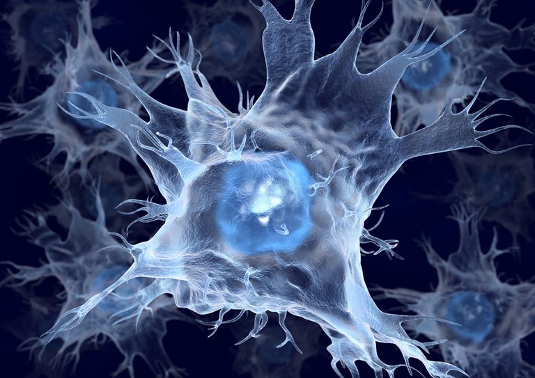 Langerhans cellhistiocytos, dendritiska celler, känna igen, Langerhans celler
